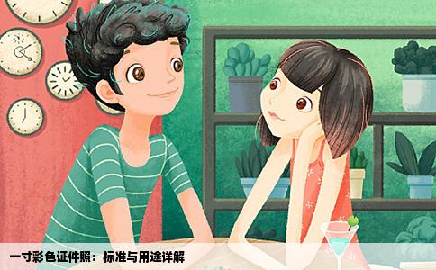 一寸彩色证件照：标准与用途详解