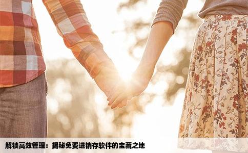 解锁高效管理：揭秘免费进销存软件的宝藏之地