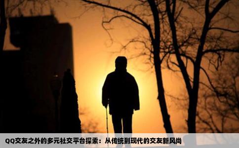 QQ交友之外的多元社交平台探索：从传统到现代的交友新风尚