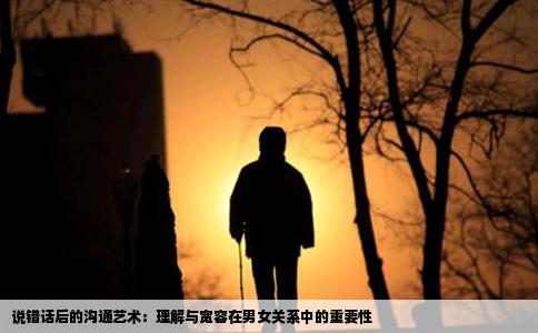 说错话后的沟通艺术：理解与宽容在男女关系中的重要性