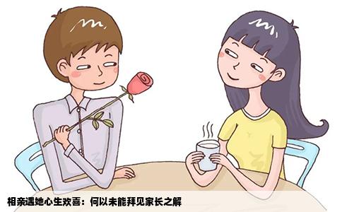 相亲遇她心生欢喜：何以未能拜见家长之解