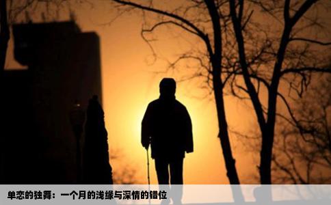 单恋的独舞：一个月的浅缘与深情的错位