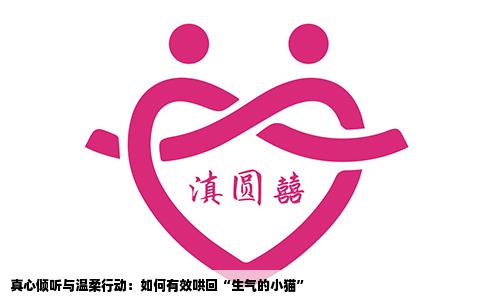 真心倾听与温柔行动：如何有效哄回“生气的小猫”