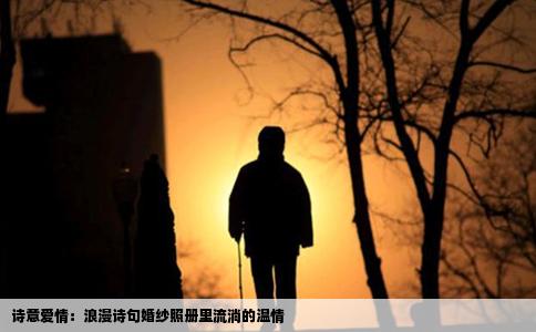 诗意爱情：浪漫诗句婚纱照册里流淌的温情