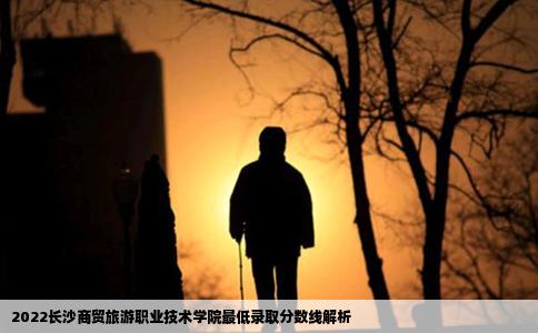 2022长沙商贸旅游职业技术学院最低录取分数线解析