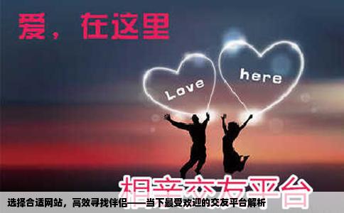 选择合适网站，高效寻找伴侣——当下最受欢迎的交友平台解析